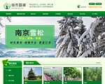 南京雪松价格
