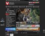 国际摄影网