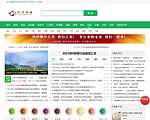 中国普洱茶网