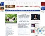 新浪网新闻中心