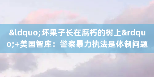 “坏果子长在腐朽的树上” 美国智库：警察暴力执法是体制问题