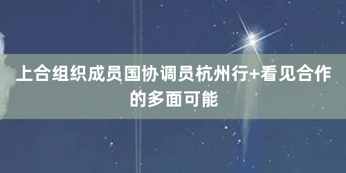 上合组织成员国协调员杭州行 看见合作的多面可能