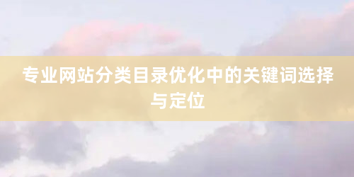 专业网站分类目录优化中的关键词选择与定位