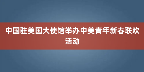 中国驻美国大使馆举办中美青年新春联欢活动