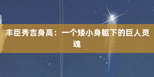 丰臣秀吉身高：一个矮小身躯下的巨人灵魂