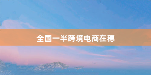 全国一半跨境电商在穗