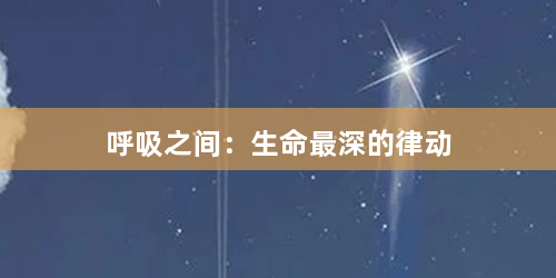 呼吸之间:生命最深的律动