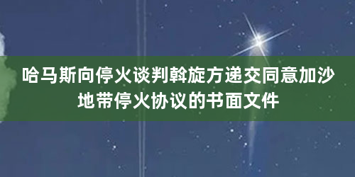 哈马斯向停火谈判斡旋方递交同意加沙地带停火协议的书面文件