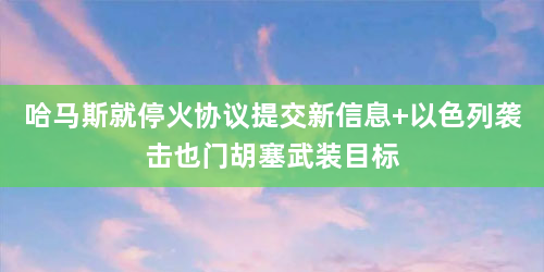 哈马斯就停火协议提交新信息 以色列袭击也门胡塞武装目标
