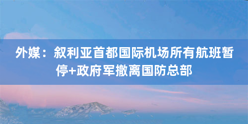 外媒：叙利亚首都国际机场所有航班暂停 政府军撤离国防总部