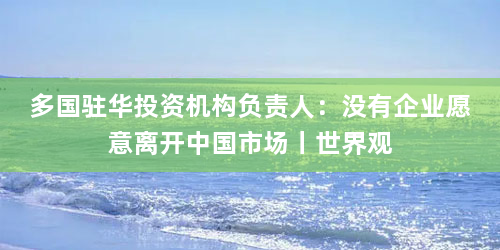 多国驻华投资机构负责人：没有企业愿意离开中国市场丨世界观