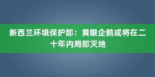 新西兰环境保护部：黄眼企鹅或将在二十年内局部灭绝