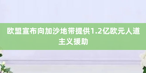 欧盟宣布向加沙地带提供1.2亿欧元人道主义援助