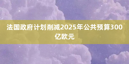 法国政府计划削减2025年公共预算300亿欧元