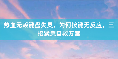 热血无赖键盘失灵，为何按键无反应，三招紧急自救方案