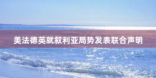 美法德英就叙利亚局势发表联合声明