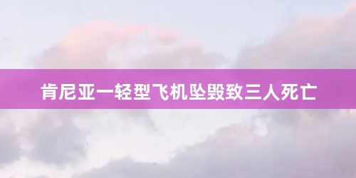 肯尼亚一轻型飞机坠毁致三人死亡