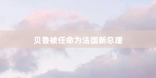 贝鲁被任命为法国新总理