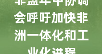 非盟年中协调会呼吁加快非洲一体化和工业化进程