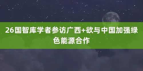 26国智库学者参访广西 欲与中国加强绿色能源合作