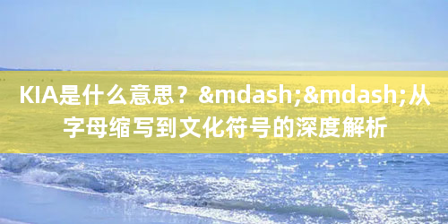 KIA是什么意思？——从字母缩写到文化符号的深度解析